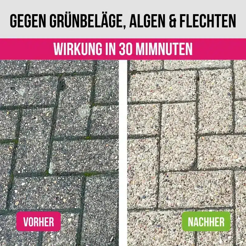 Express-Steinreiniger für den Außenbereich | Entfernt zuverlässig Algen, Flechte image 3